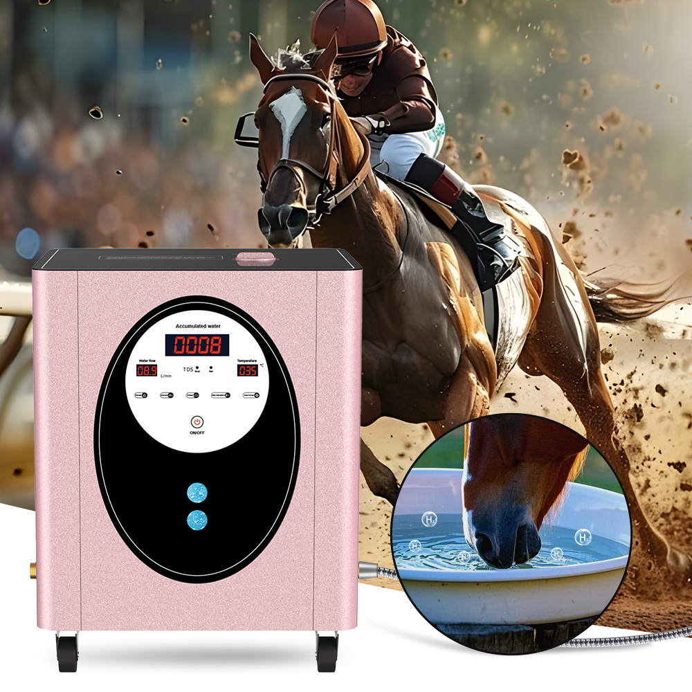 SUYZEKO Whole House Hydrogen W - Spa Wellness Health recensie en prijs